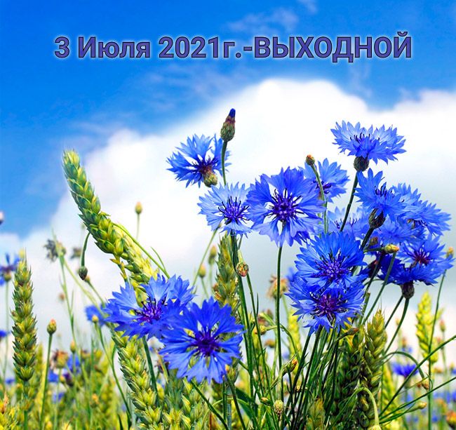 3 июля 2021 года в салоне выходной